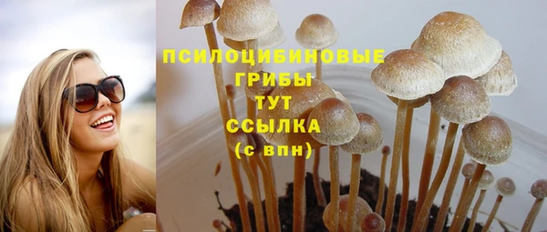 экстази Горно-Алтайск