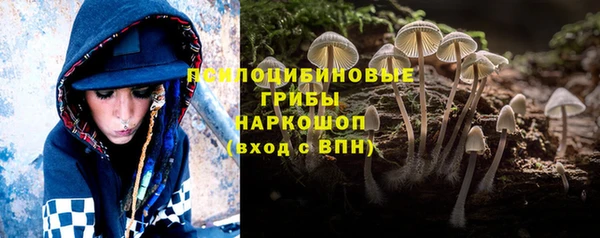 СК Володарск