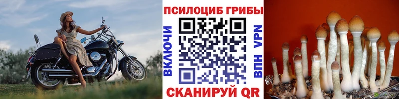 hydra tor  Шимановск  Галлюциногенные грибы мухоморы  где найти  